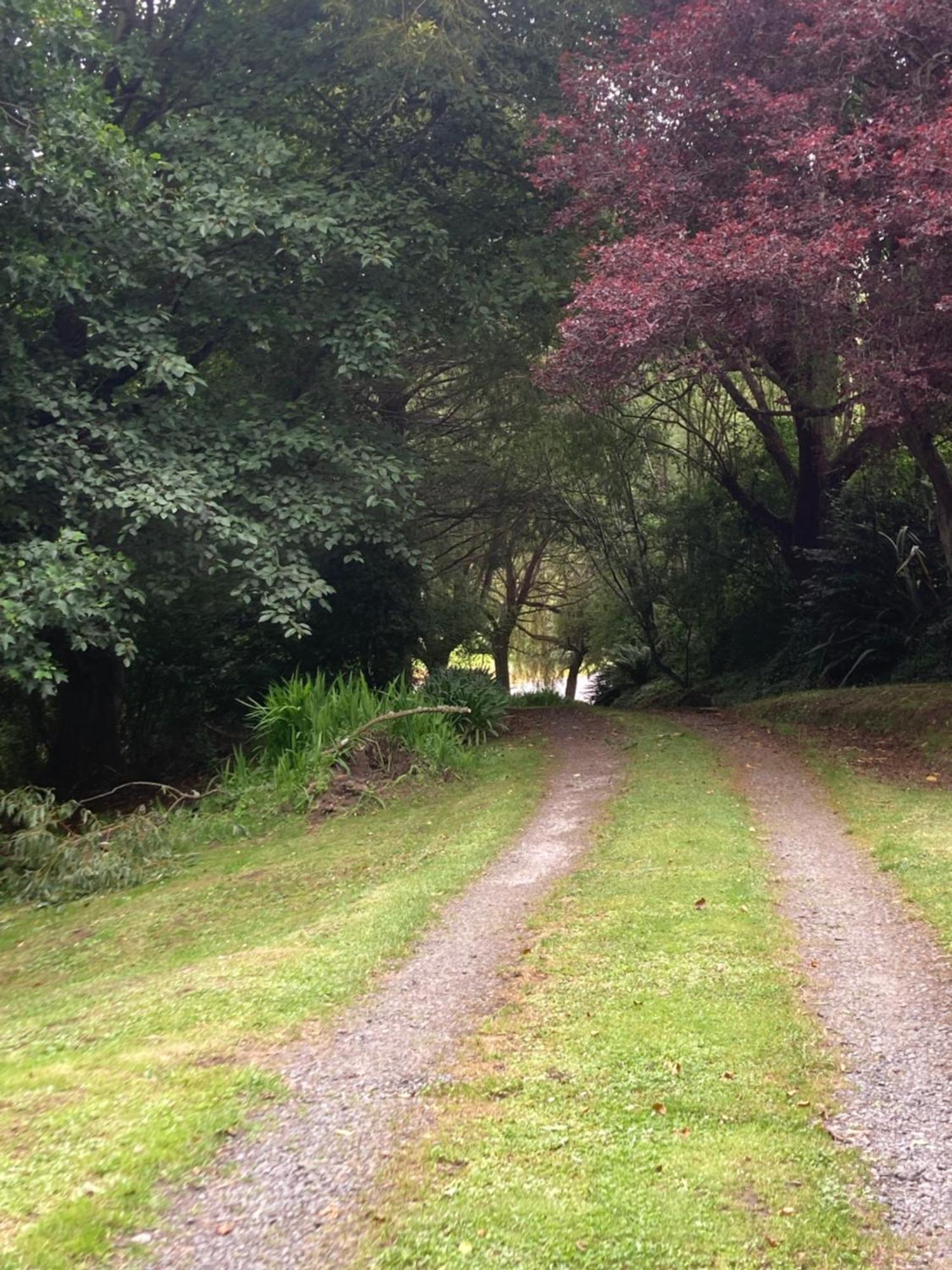 Arden Country House Bnb - Entire House To Yourself -Peace In The Country Dunedin Exterior foto